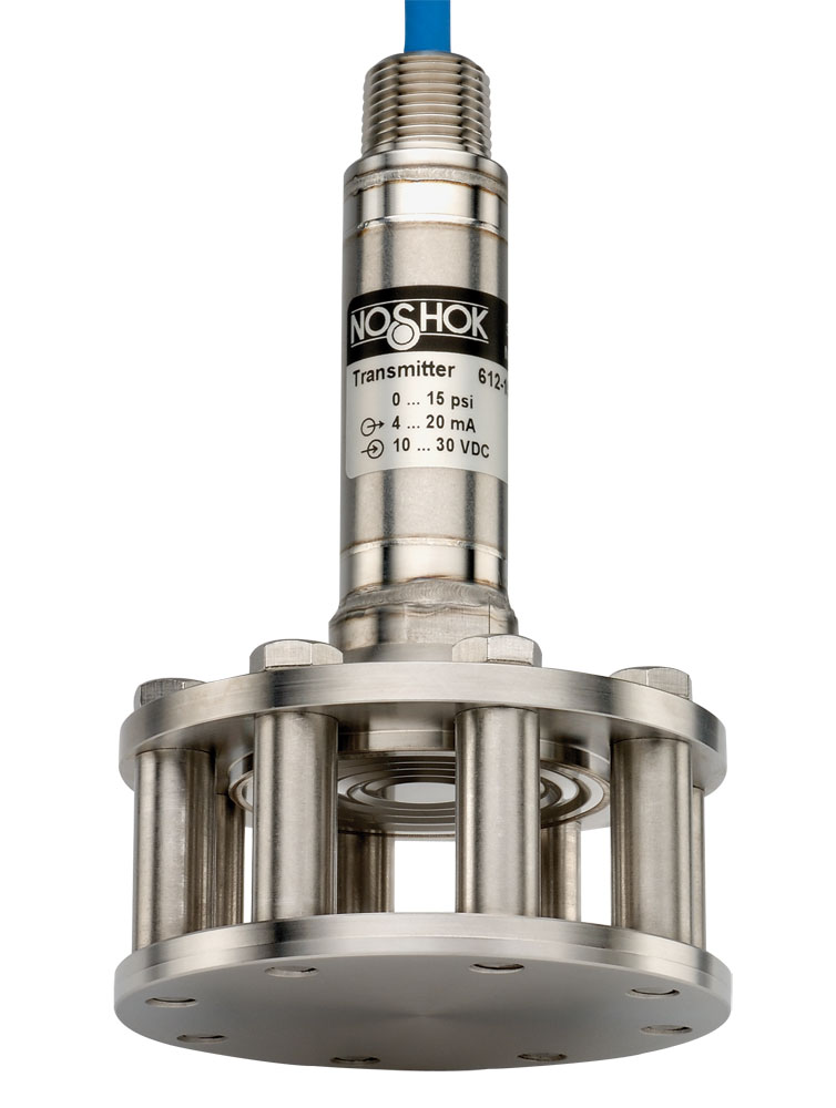 613_series_transducer_LG Noshok 613-50-1-1-50FT-JB Cage-Protected Submersible Level Transmitters - Image 1
