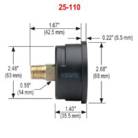 Noshok 25-110-300-psi/kg/cm2 1/4 NPT Back Conn 2.5 ABS dry Case Gauge